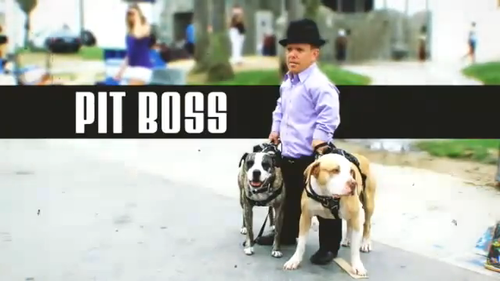 Pit Boss (TV series)